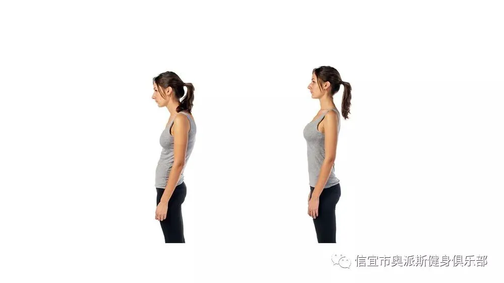 参加杯赛期间如何合理安排饮食和休息_2